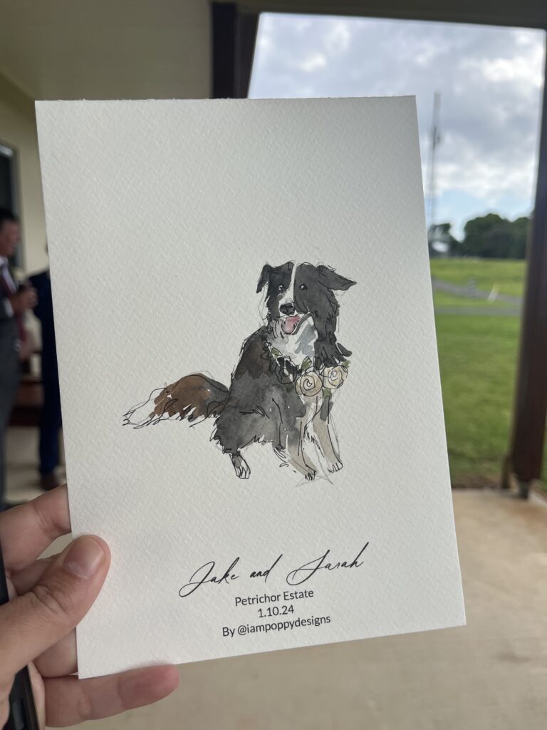 pet portrait