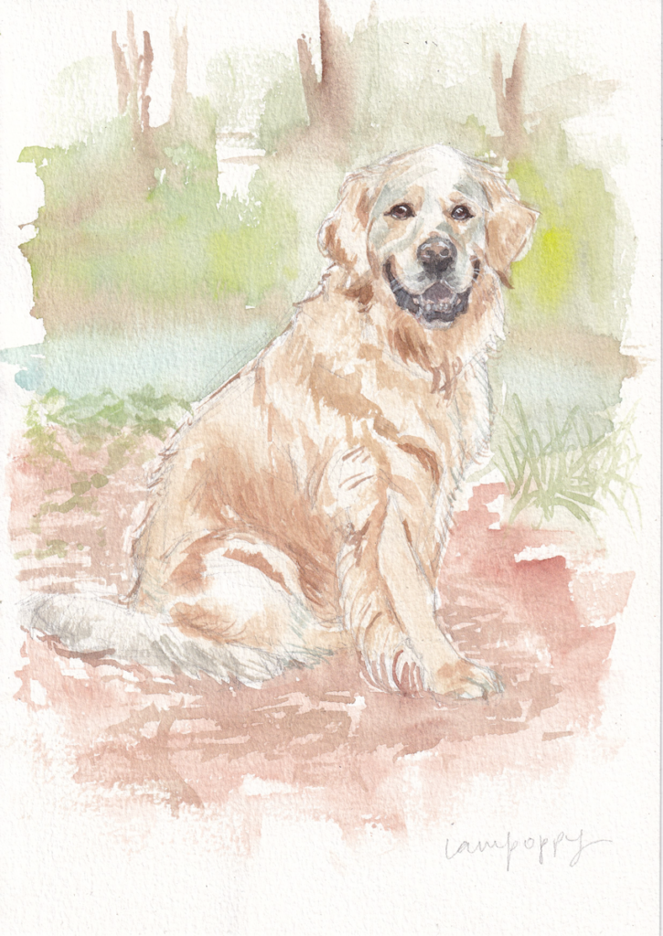 Studio portrait - watercolour portrait